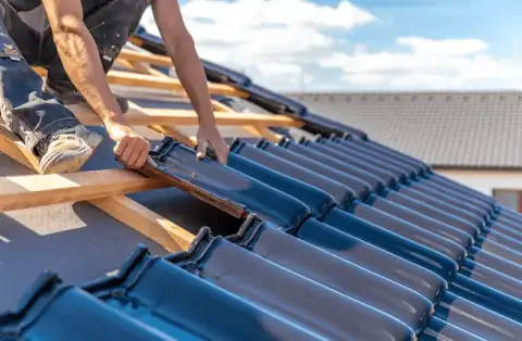 Couverture - Vivaise